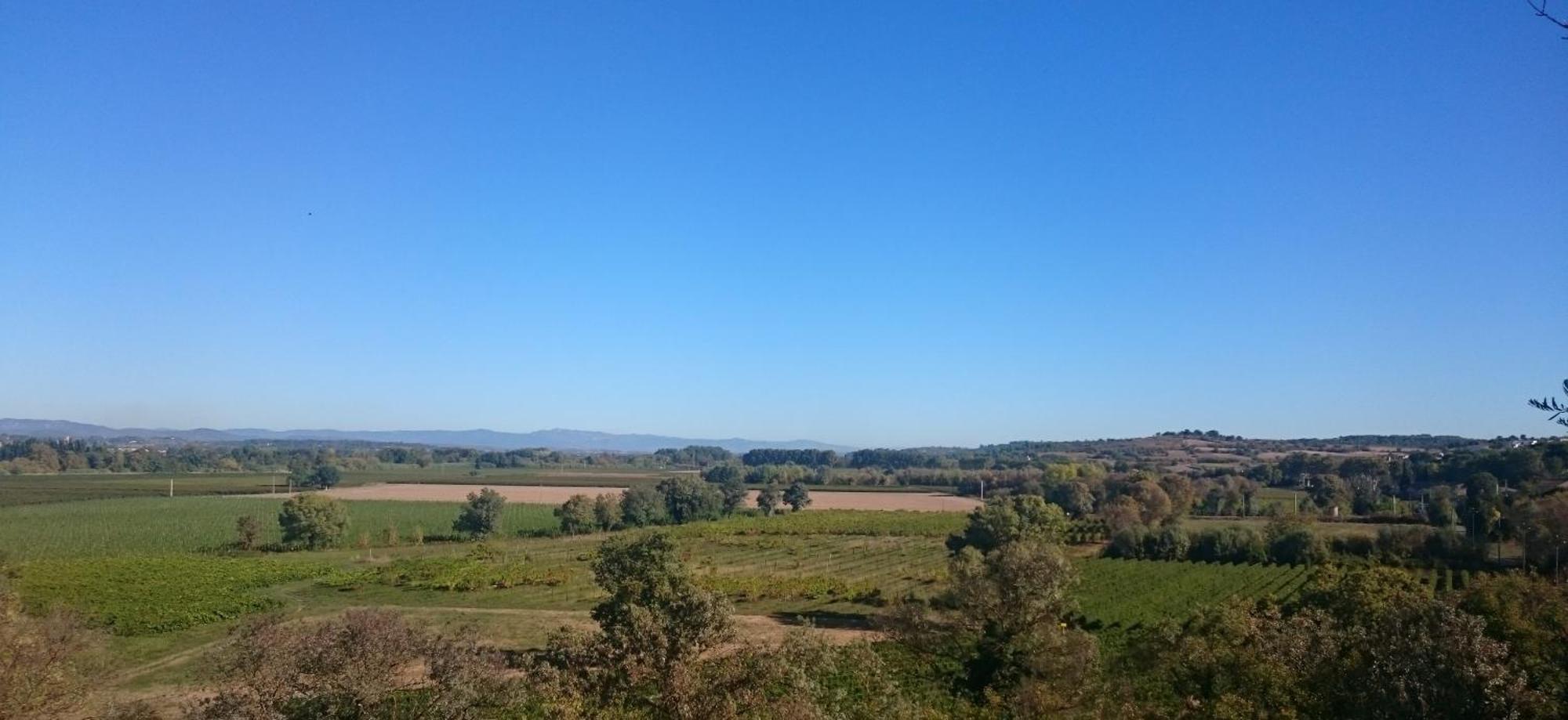 Camping Les Amandiers Castelnau-de-Guers Esterno foto
